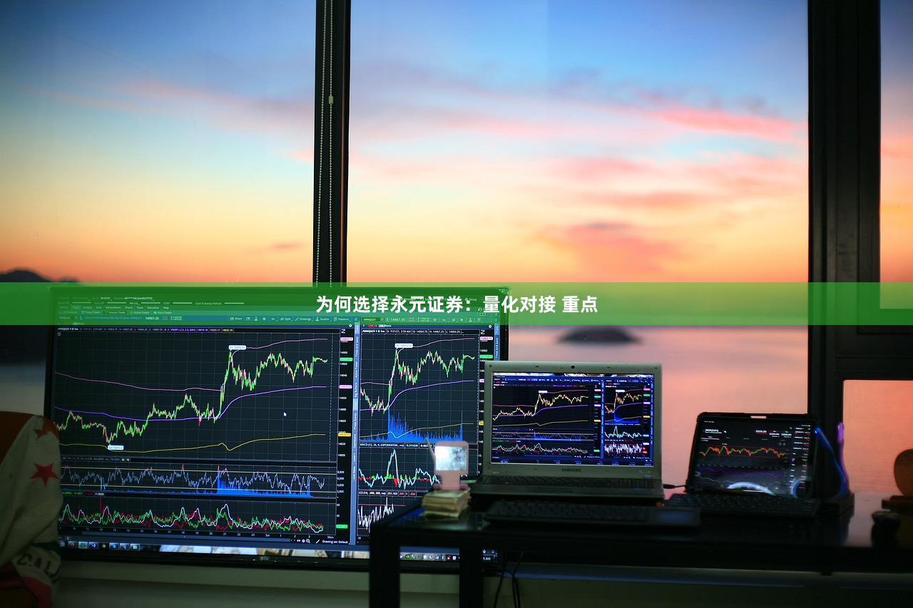 为何选择永元证券：量化对接 重点