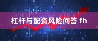 杠杆与配资风险问答 fh