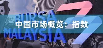 中国市场概览:指数